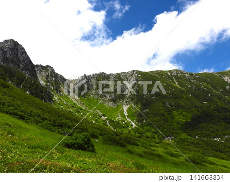 夏の千畳敷カール 高山植物が彩る中央アルプスの絶景 夏の千畳敷カール 高山植物が彩る中央アルプスの絶景 141668834