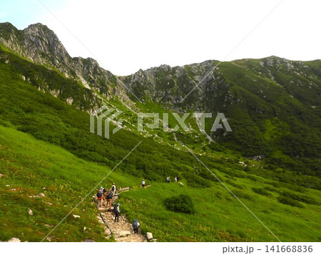 夏の千畳敷カール 高山植物が彩る中央アルプスの登山客 夏の千畳敷カール 高山植物が彩る中央アルプスの登山客 141668836