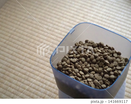 キャットフードが入った給餌器_右位置 キャットフードが入った給餌器_右位置 141669117