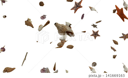 Falling Seashells Starfish Ocean Summer Overlay Falling Seashells Starfish Ocean Summer Overlay 141669163