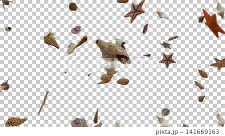 Falling Seashells Starfish Ocean Summer Overlay Falling Seashells Starfish Ocean Summer Overlay 141669163