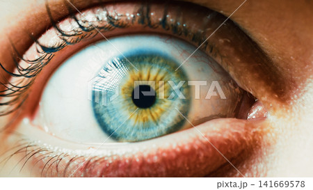 Blue eye look into the camera Blue eye look into the camera 141669578