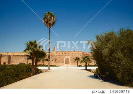 Palm tree courtyard in Moroccan heritage site Palm tree courtyard in Moroccan heritage site 141669748