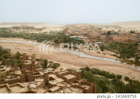 Aerial view of desert oasis and village 141669758