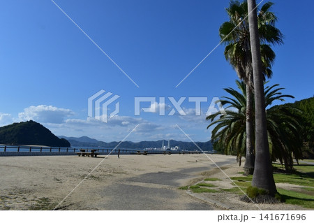 広島 大久野島 うさぎ島 兎島 広島 大久野島 うさぎ島 兎島 141671696