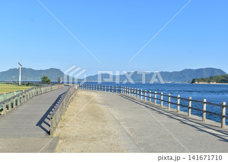 広島 大久野島 うさぎ島 兎島 広島 大久野島 うさぎ島 兎島 141671710