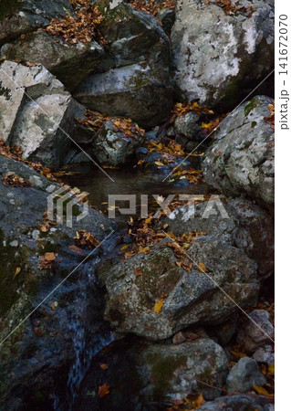 美作アルプス 後山 駒の尾山 船木山 141672070