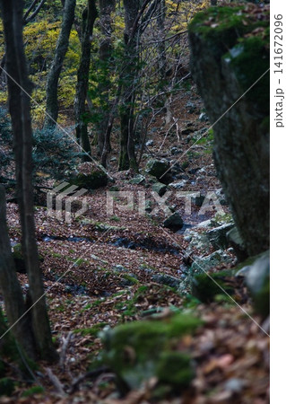 美作アルプス 後山 駒の尾山 船木山 美作アルプス 後山 駒の尾山 船木山 141672096