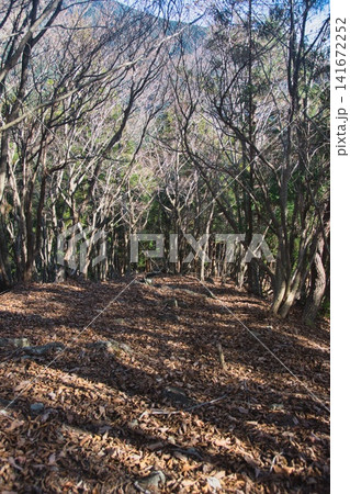 美作アルプス 後山 駒の尾山 船木山 141672252