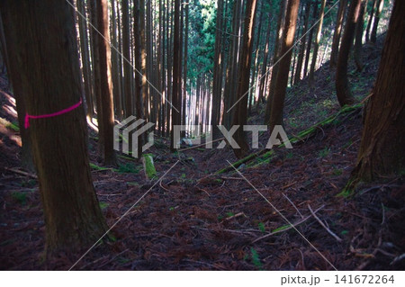 美作アルプス 後山 駒の尾山 船木山 美作アルプス 後山 駒の尾山 船木山 141672264