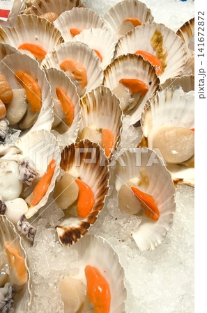 Fresh scallops in their shells on a bed of ice Fresh scallops in their shells on a bed of ice 141672872