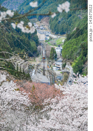 吉野駅に到着する列車(大橋辺りより望む) 吉野駅に到着する列車(大橋辺りより望む) 141673022