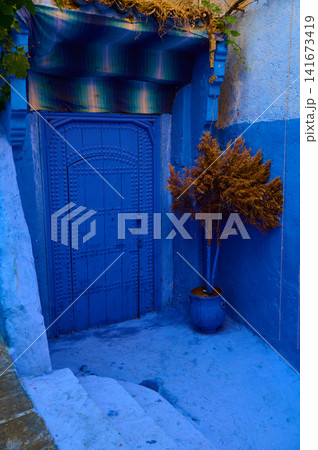 Blue painted door and potted tree in a Moroccan alleyway with textured walls and steps 141673419