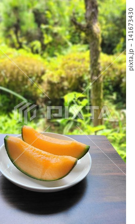 緑を背景に撮影された白い皿に並ぶ瑞々しい赤肉カットメロン 緑を背景に撮影された白い皿に並ぶ瑞々しい赤肉カットメロン 141673430