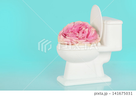Conceptual still life of a small white toy toilet with an open lid, topped by a lush pink rose in full bloom, set against a bright turquoise background with plenty of negative space for text. Minimal, Conceptual still life of a small white toy toilet with an open lid, topped by a lush pink rose in full bloom, set against a bright turquoise background with plenty of negative space for text. Minimal, 141675031