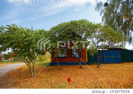Charming rustic house surrounded by trees in a serene countryside setting during autumn Charming rustic house surrounded by trees in a serene countryside setting during autumn 141675058