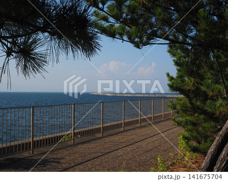 夏の空と海 夏の空と海 141675704