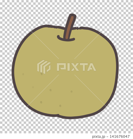 Japanese pear illustration Japanese pear illustration 141676047