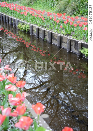 春のせせらぎ街道 春のせせらぎ街道 141676127