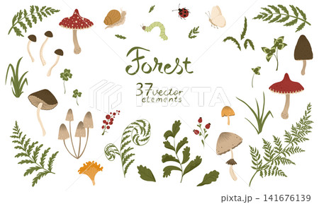Forest set of vector isolated elements. Collection of autumn mushrooms with fern leaves, berries, grass, insects. Fall mushrooms for sticker, logo, print. White background. Forest set of vector isolated elements. Collection of autumn mushrooms with fern leaves, berries, grass, insects. Fall mushrooms for sticker, logo, print. White background. 141676139