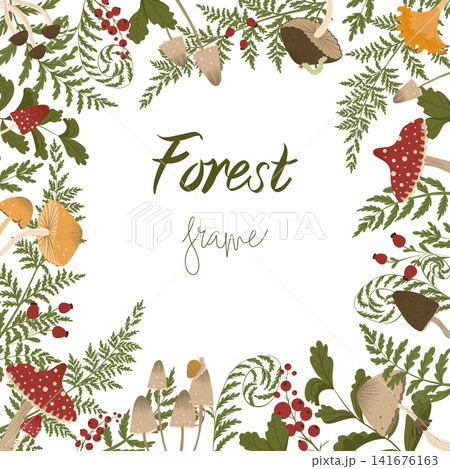 Mushrooms square frame. Uncut elements. Clipping mask. Autumn illustration with forest mushrooms, fern leaves and berries. Vector composition for web design, print, advertising. White background. 141676163
