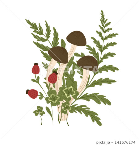 Mushroom isolated element. Autumn composition with shimeji, fern leaves, shamrock leaves, berries. Fall mushrooms vector illustration for sticker, logo, print. White background. Mushroom isolated element. Autumn composition with shimeji, fern leaves, shamrock leaves, berries. Fall mushrooms vector illustration for sticker, logo, print. White background. 141676174