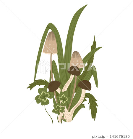 Mushroom isolated element. Autumn honey agaric, shimeji, grass leaves, clover leaves. Fall mushrooms vector illustration for sticker, logo, print. White background. 141676180