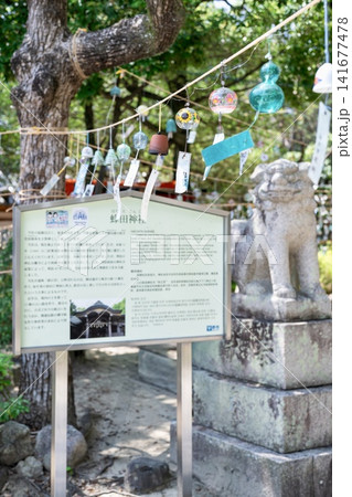 蜂田神社の風鈴祭り 141677478