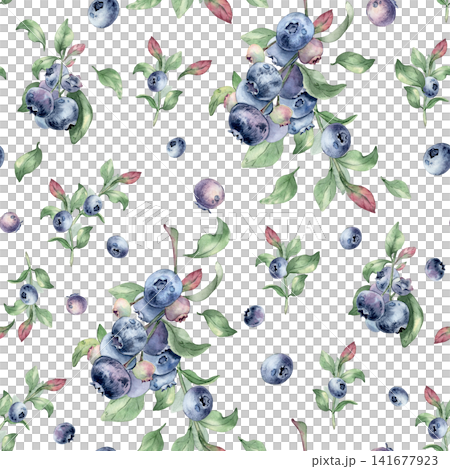 Blueberry plants summer pattern watercolor drawing isolated white. Seamless wallpaper with wild berry and green leaf on repeat background. Fresh ripe fruits textile print design for kitchen decor. 141677923