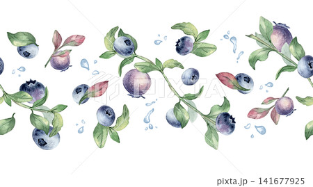 Seamless border of blueberry hand drawn watercolor isolated white. Botanical repeat of fresh berry with leaf and water drops. Decorative fruit horizontal background for kitchen textile and packaging. Seamless border of blueberry hand drawn watercolor isolated white. Botanical repeat of fresh berry with leaf and water drops. Decorative fruit horizontal background for kitchen textile and packaging. 141677925