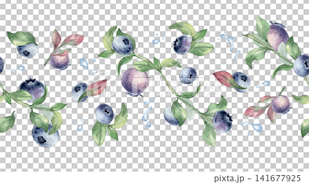 Seamless border of blueberry hand drawn watercolor isolated white. Botanical repeat of fresh berry with leaf and water drops. Decorative fruit horizontal background for kitchen textile and packaging. Seamless border of blueberry hand drawn watercolor isolated white. Botanical repeat of fresh berry with leaf and water drops. Decorative fruit horizontal background for kitchen textile and packaging. 141677925