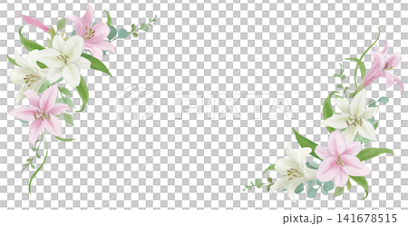 水彩插畫,邊框為白色和粉紅色百合花。 水彩插畫,邊框為白色和粉紅色百合花。 141678515