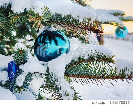 A Christmas tree stands in the snow, adorned with blue ornaments. The gentle light of the winter sun illuminates the white landscape A Christmas tree stands in the snow, adorned with blue ornaments. The gentle light of the winter sun illuminates the white landscape 141678837