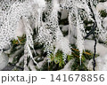 A decorated Christmas tree stands covered in snow. The tree has white accents and ornaments, creating a holiday atmosphere 141678856