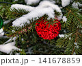 A Christmas tree shows a red ornament hanging from branches covered in snow. The scene captures the holiday spirit in a festive atmosphere 141678859