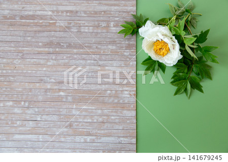 Large white peony flower with natural rustic background Large white peony flower with natural rustic background 141679245