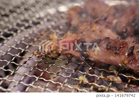 Close-up of Grilled Meat on Wire Mesh Grill Close-up of Grilled Meat on Wire Mesh Grill 141679742