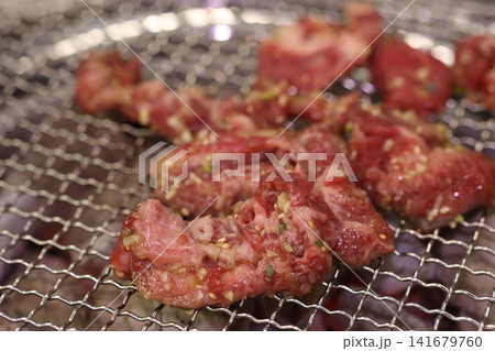 Marinated Meat on Grill Ready for Cooking Marinated Meat on Grill Ready for Cooking 141679760