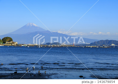 西伊豆から見た富士山 141679854