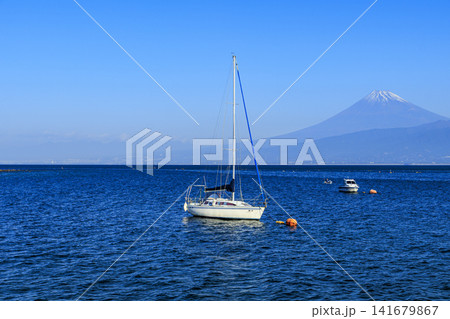 西伊豆から見た富士山 西伊豆から見た富士山 141679867