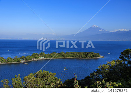 西伊豆から見た富士山 西伊豆から見た富士山 141679871
