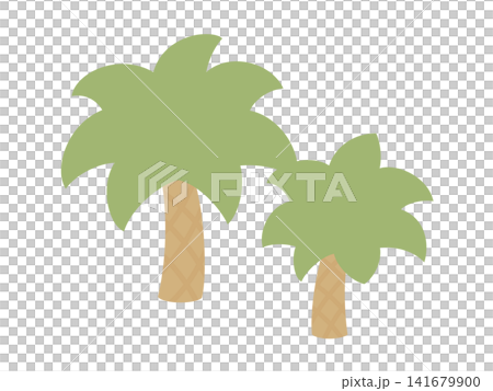 Illustration of a tree fern Illustration of a tree fern 141679900