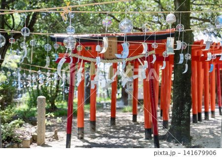 蜂田神社の風鈴祭りと鳥居 蜂田神社の風鈴祭りと鳥居 141679906