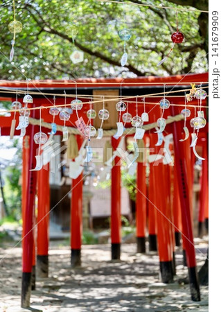 蜂田神社の風鈴祭りと鳥居 141679909
