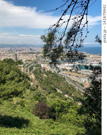 Panoramic city view of Barcelona, Spain from Montjuic. Green hillside and pine branches frame the harbor with cruise ships on the Mediterranean, perfect for travel, tourism and urban landscape topics. 141679942