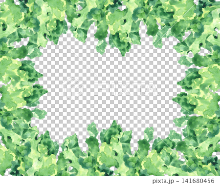 Frame of the lettuce. Watercolor illustration. Handmade art work. For packaging design, cards, cover, prints, product labels and fabric. Frame of the lettuce. Watercolor illustration. Handmade art work. For packaging design, cards, cover, prints, product labels and fabric. 141680456