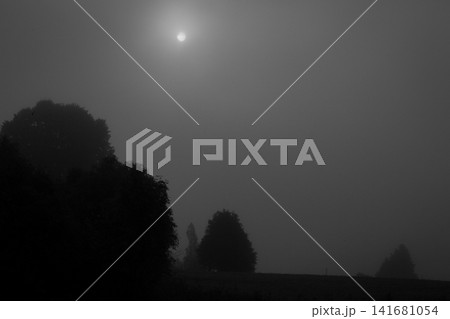 Pale sun shining through deep twilight and thick evening fog over field Pale sun shining through deep twilight and thick evening fog over field 141681054