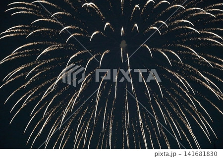打ち上げ花火(2026年江戸川の花火大会) 打ち上げ花火(2026年江戸川の花火大会) 141681830