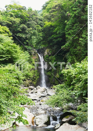 【富士市 須津川渓谷 落差21m「大棚の滝」】 【富士市 須津川渓谷 落差21m「大棚の滝」】 141682182