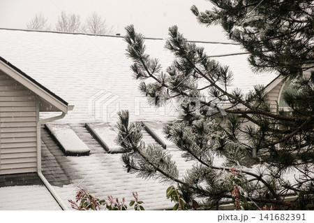 A snow-covered house roof with solar panels seen through snow-dusted pine tree branches. 141682391